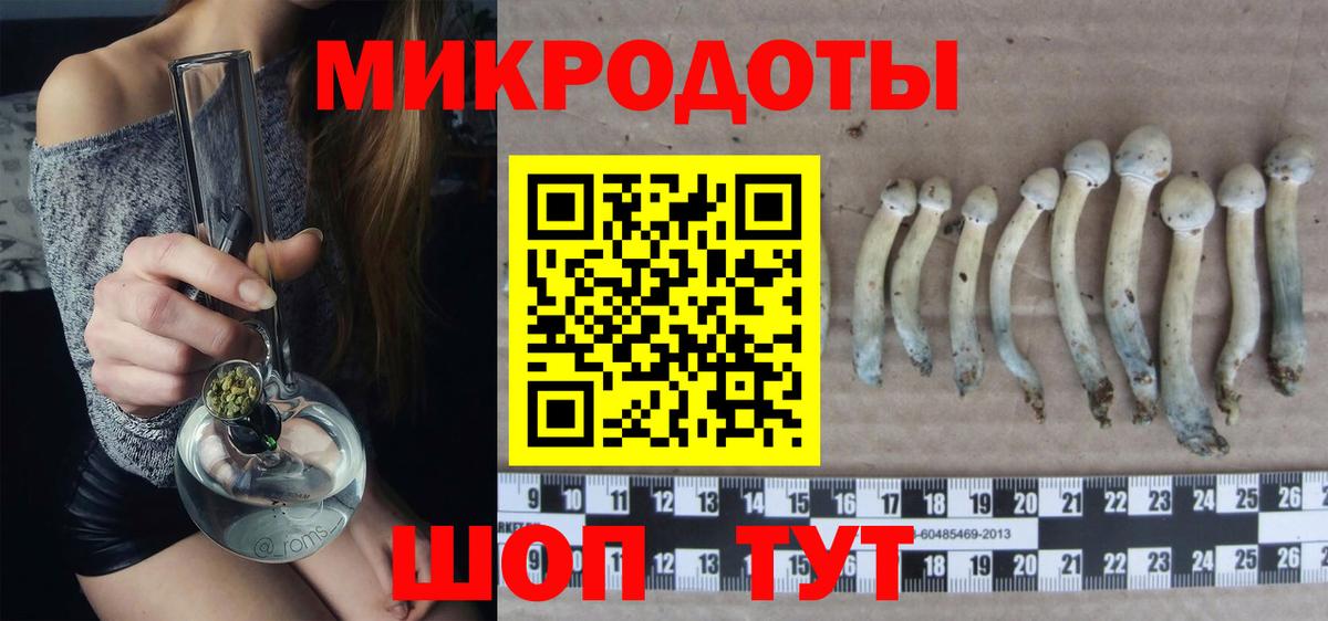 Галлюциногенные грибы Magic Shrooms Фрязино