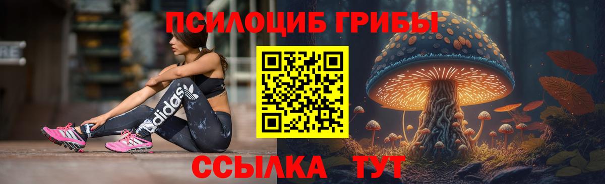 Псилоцибиновые грибы мицелий  Вход с VPN  Фрязино 